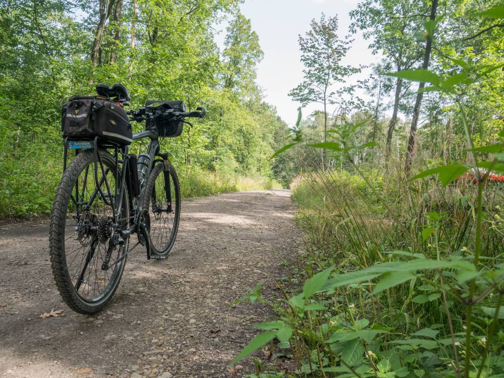 Szlak Lasu Zag&oacute;rskiego w Sosnowcu