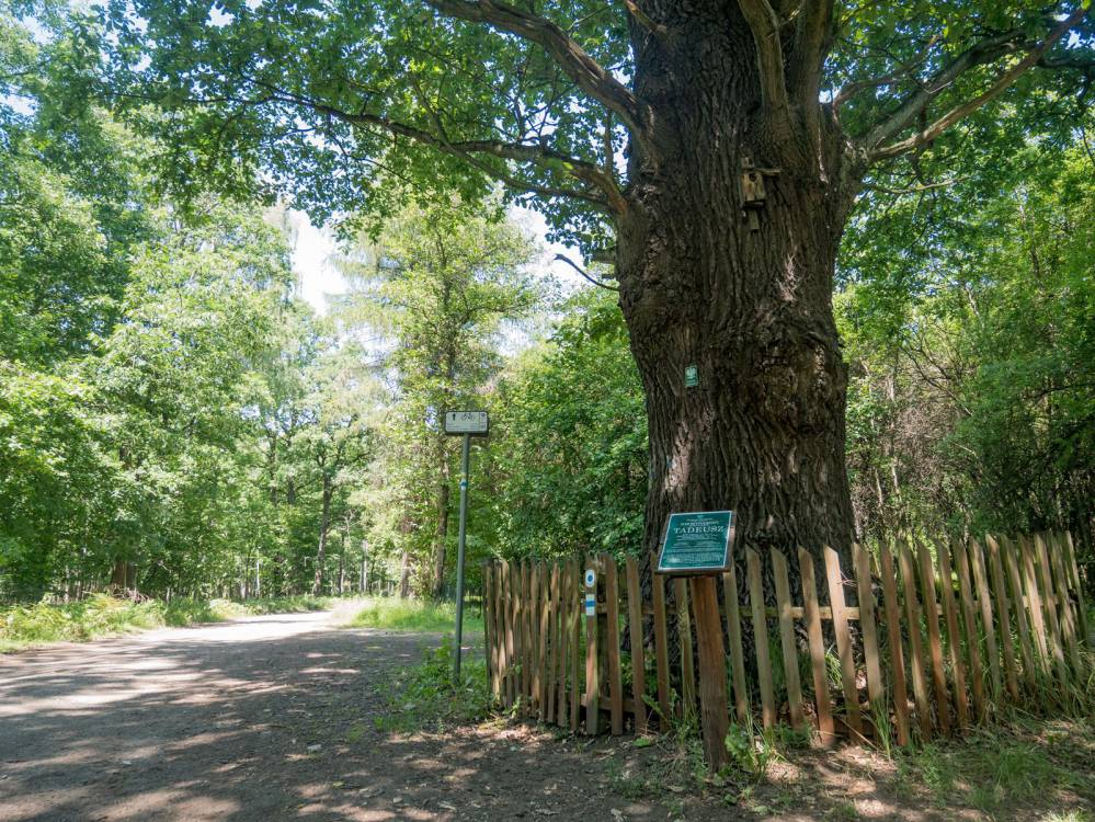 Czarny szlak rowerowy nr 101 Katowice - Lędziny