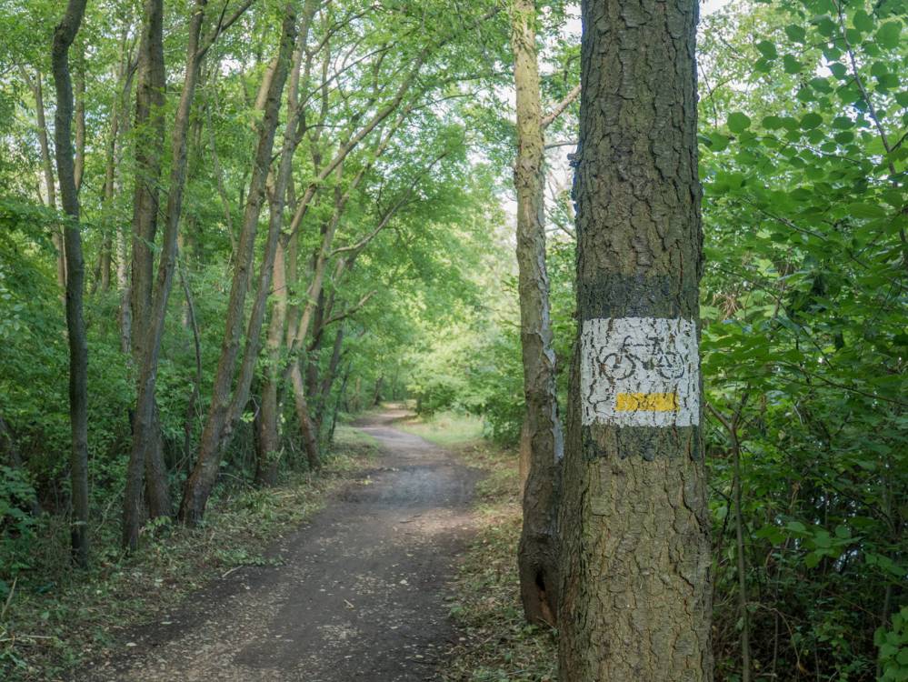 Żółty szlak rowerowy nr 16 - Gliwice - Ujazd