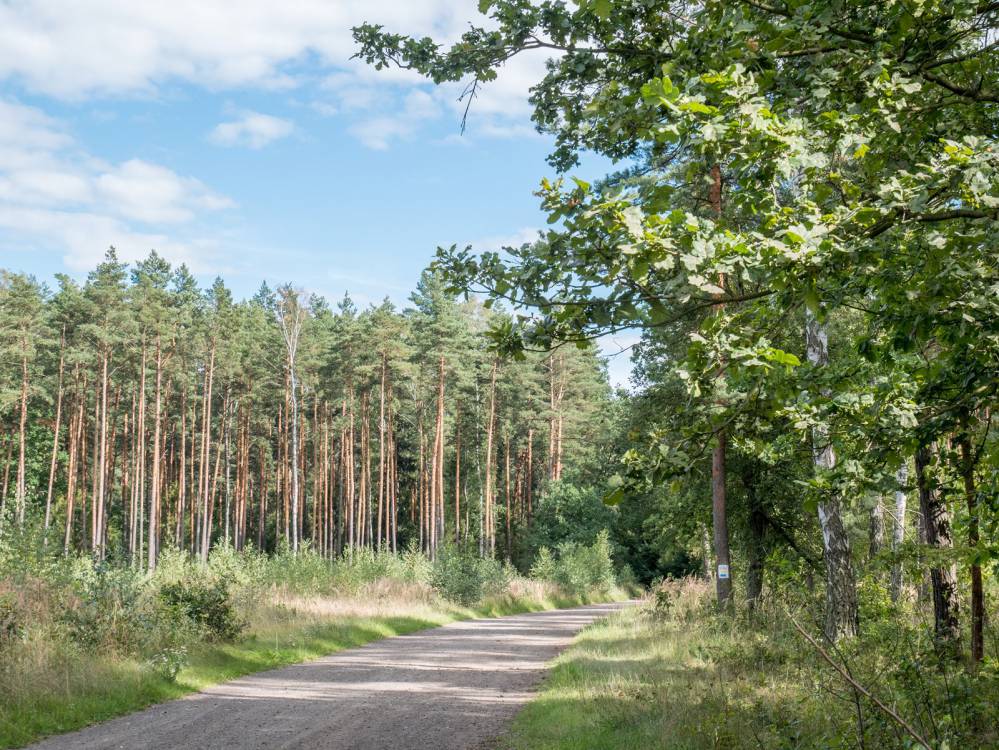 Szlak Przełomu Warty