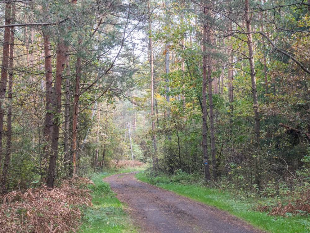 Niebieski szlak rowerowy Zawiercie - Ogrodzieniec