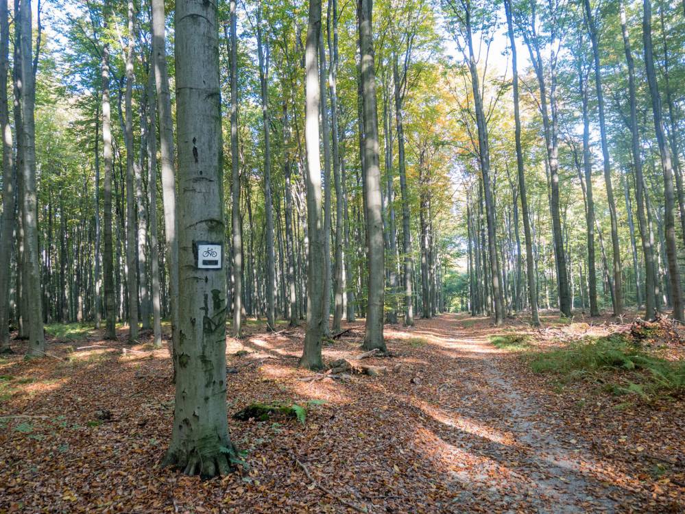 Czarny szlak rowerowy im. Jana Pawła II Rybnik - Rudy 